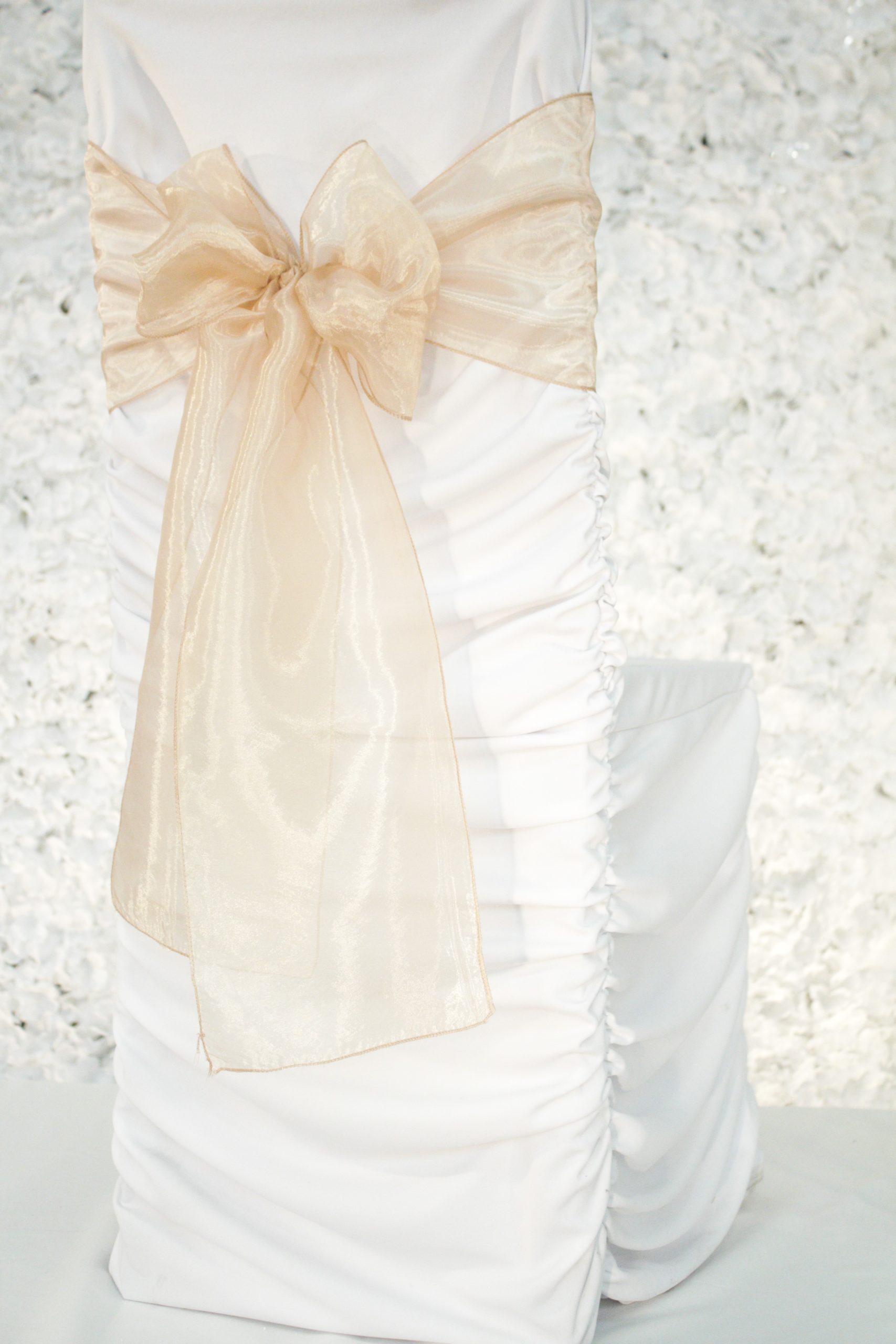 Latte Organza 1