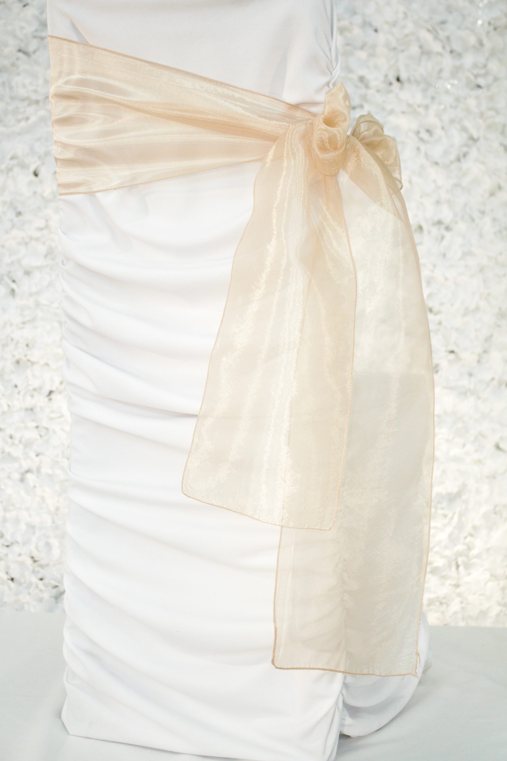 Latte Organza 2