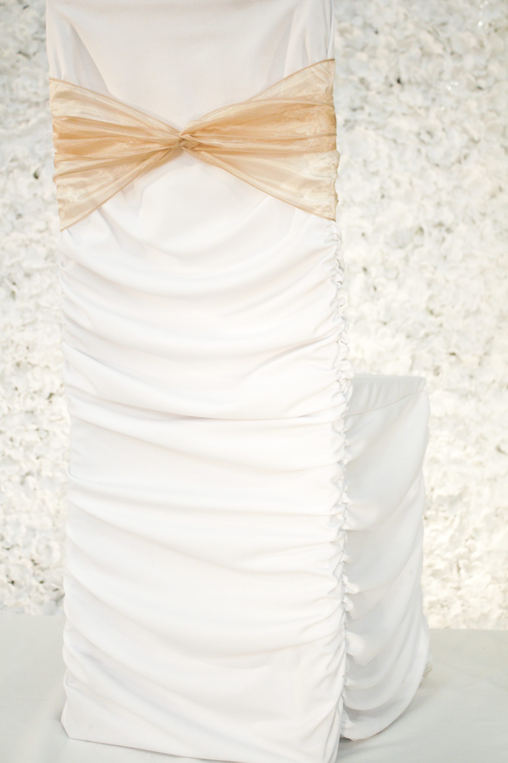 Latte Organza 3
