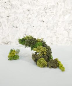 Petrified Moss