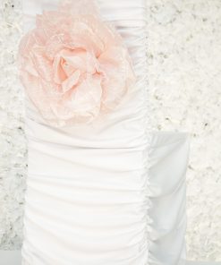 Rose Band