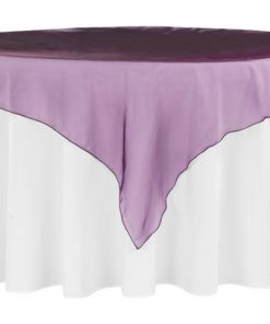 Organza Aubergine Overlay
