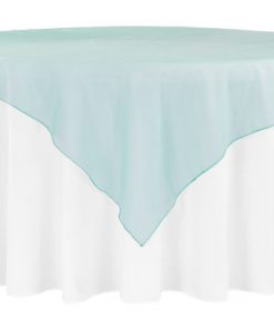 Organza Sky Blue Overlay
