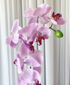 Silk Orchid Pink