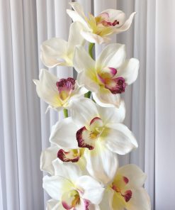 Silk Orchid White and Pink